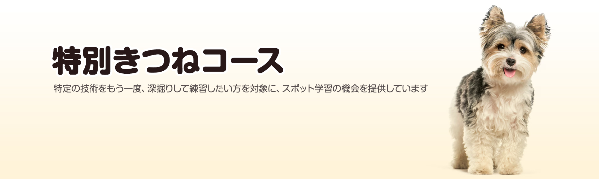 日野市・立川市・八王子市・国立市・町田市・多摩市 自宅訪問型出張トリミングサービス ひょっとこ 深掘りして習得したい方を対象に、スポット学習の機会を提供しています