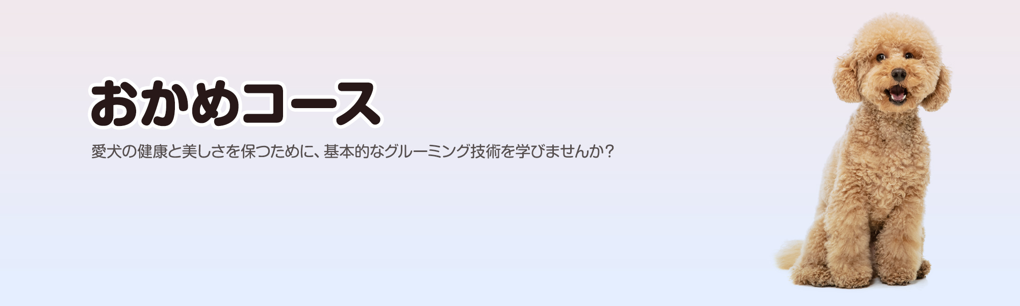 日野市・立川市・八王子市・国立市・町田市・多摩市 自宅訪問型出張トリミングサービス ひょっとこ 愛犬の健康と美しさを保つために、基本的なグルーミング技術を学びませんか？