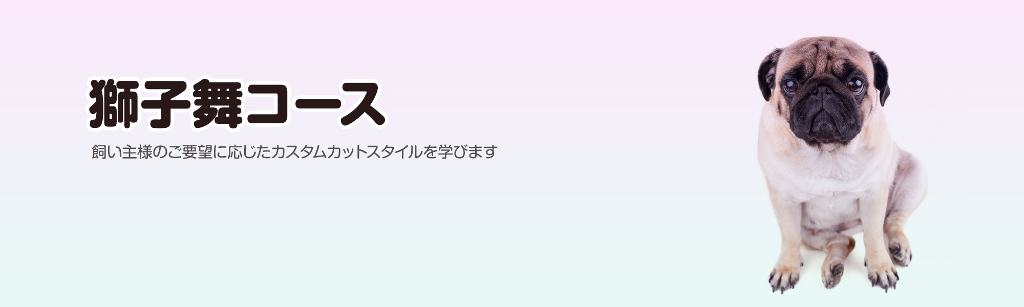 日野市・立川市・八王子市・国立市・町田市・多摩市 自宅訪問型出張トリミングサービス ひょっとこ お客様のご要望に応じたカスタムカットスタイルを学びます。